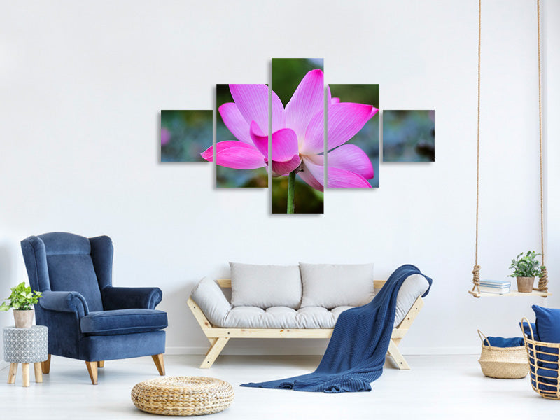 5-piece-canvas-print-beautiful-lotus