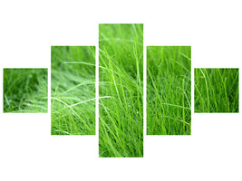 5-piece-canvas-print-blades-of-grass