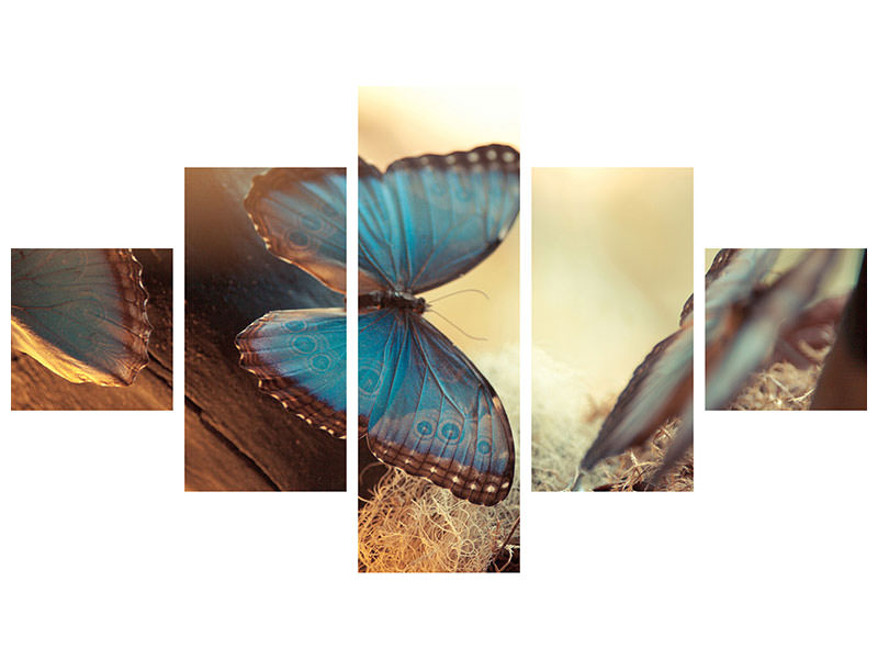5-piece-canvas-print-butterflies