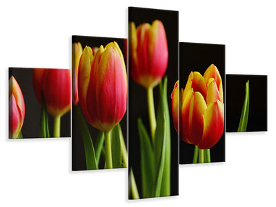 5-piece-canvas-print-colorful-tulips
