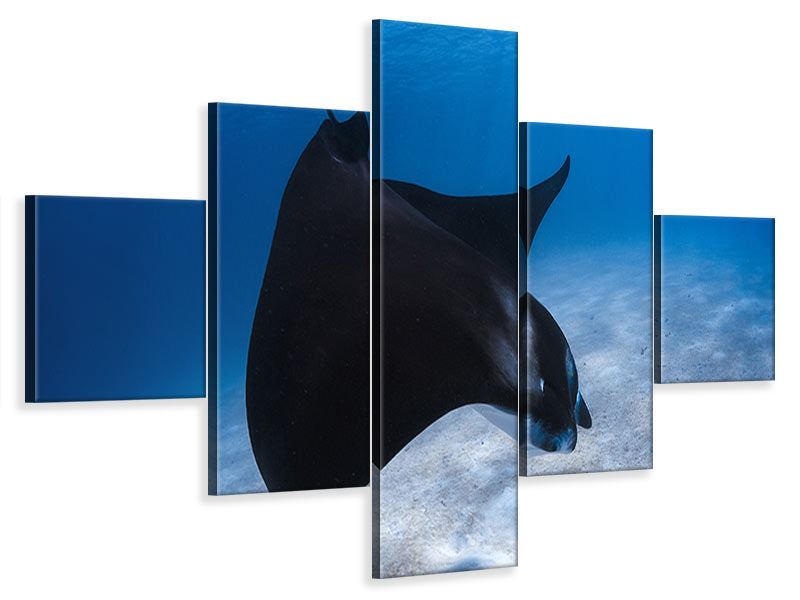 5-piece-canvas-print-dancing-manta