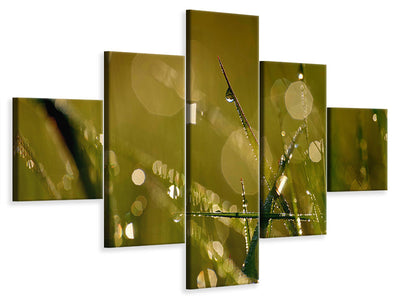 5-piece-canvas-print-dew-in-the-morning