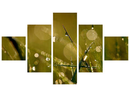 5-piece-canvas-print-dew-in-the-morning