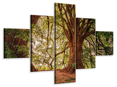 5-piece-canvas-print-in-the-dense-forest