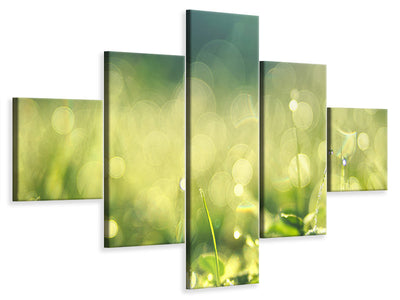 5-piece-canvas-print-in-the-meadow