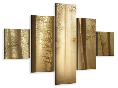 5-piece-canvas-print-into-the-trees