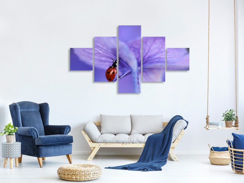 5-piece-canvas-print-ladybird-on-purple-hydrangea