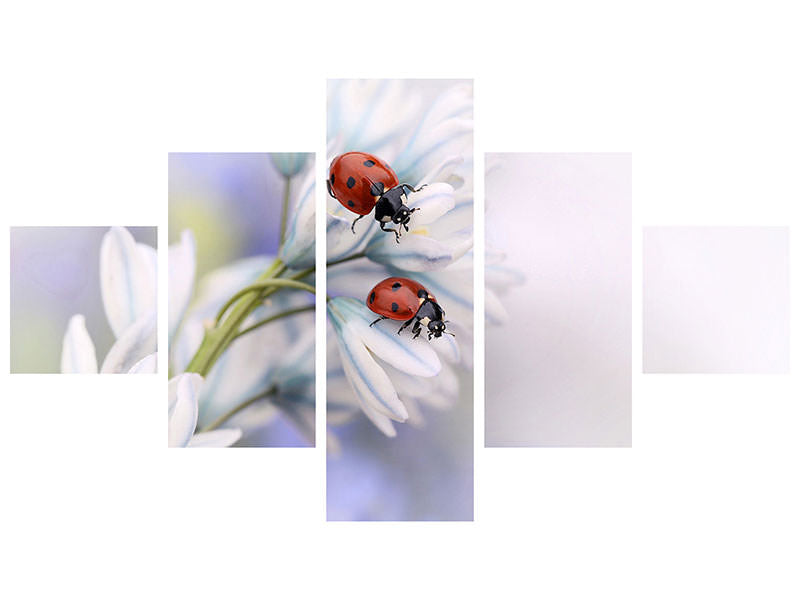 5-piece-canvas-print-ladybirds
