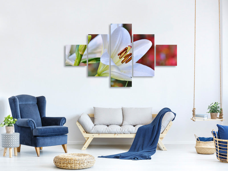 5-piece-canvas-print-magnificent-lily-in-white