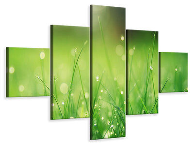 5-piece-canvas-print-meadow-with-morning-dew