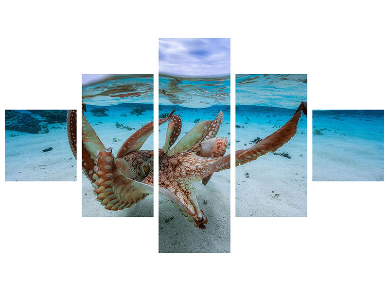 5-piece-canvas-print-octopus-ii