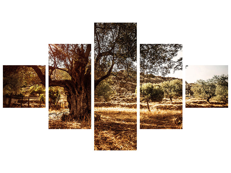 5-piece-canvas-print-olive-grove