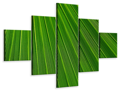 5-piece-canvas-print-palm-stripe-i
