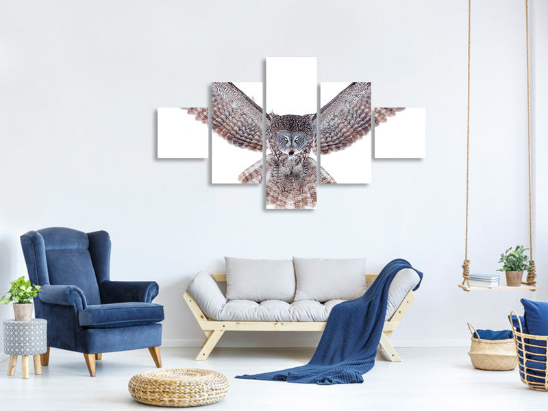 5-piece-canvas-print-power-great-grey-owl