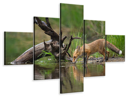 5-piece-canvas-print-red-fox-ii