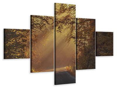 5-piece-canvas-print-sunbeams-in-the-forest