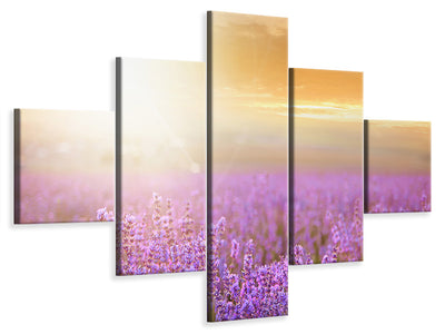 5-piece-canvas-print-sunset-in-lavender-field