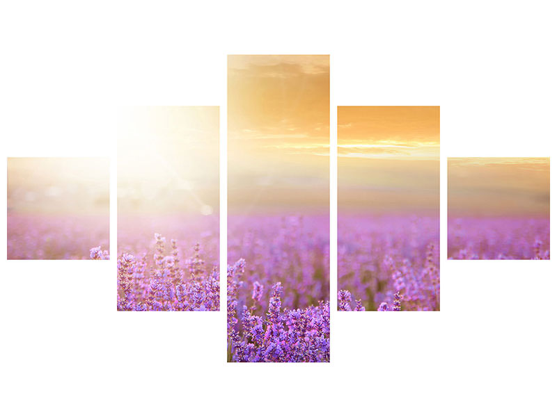 5-piece-canvas-print-sunset-in-lavender-field