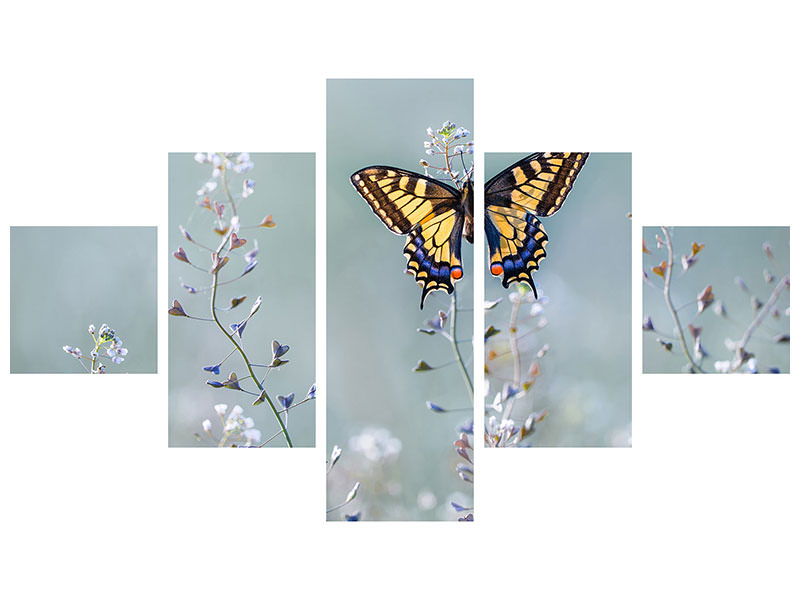 5-piece-canvas-print-swallowtail-beauty