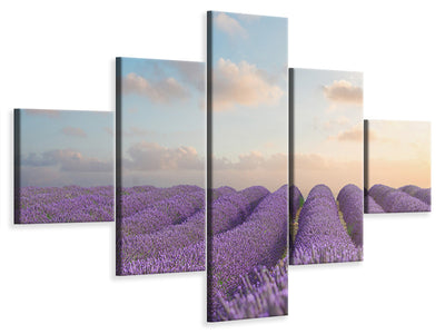 5-piece-canvas-print-the-blooming-lavender-field
