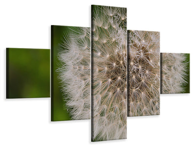 5-piece-canvas-print-the-dandelion-in-nature