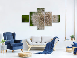 5-piece-canvas-print-the-dandelion-in-nature