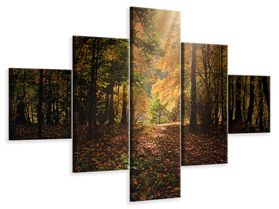 5-piece-canvas-print-the-deciduous-forest
