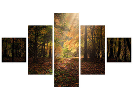 5-piece-canvas-print-the-deciduous-forest