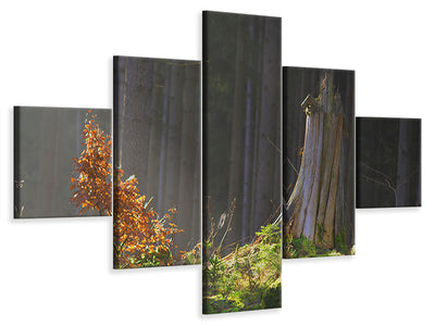 5-piece-canvas-print-the-magic-in-the-forest