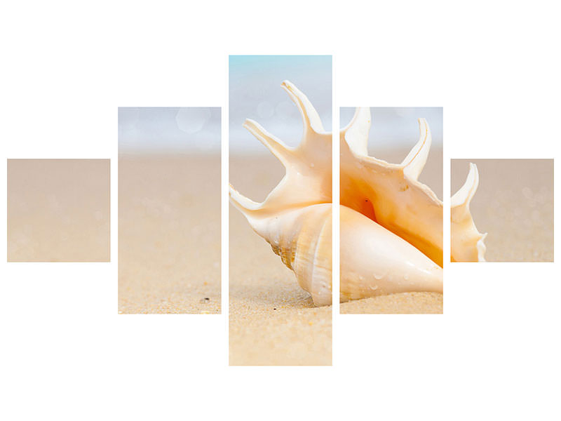5-piece-canvas-print-the-shell-on-the-beach