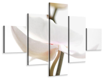 5-piece-canvas-print-xxl-orchid-flower