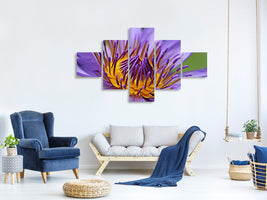 5-piece-canvas-print-xxl-water-lily-in-purple