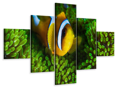 5-piece-canvas-print-yellow-clownfish-on-green-anemon