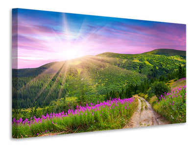 canvas-print-a-summer-landscape-at-sunrise