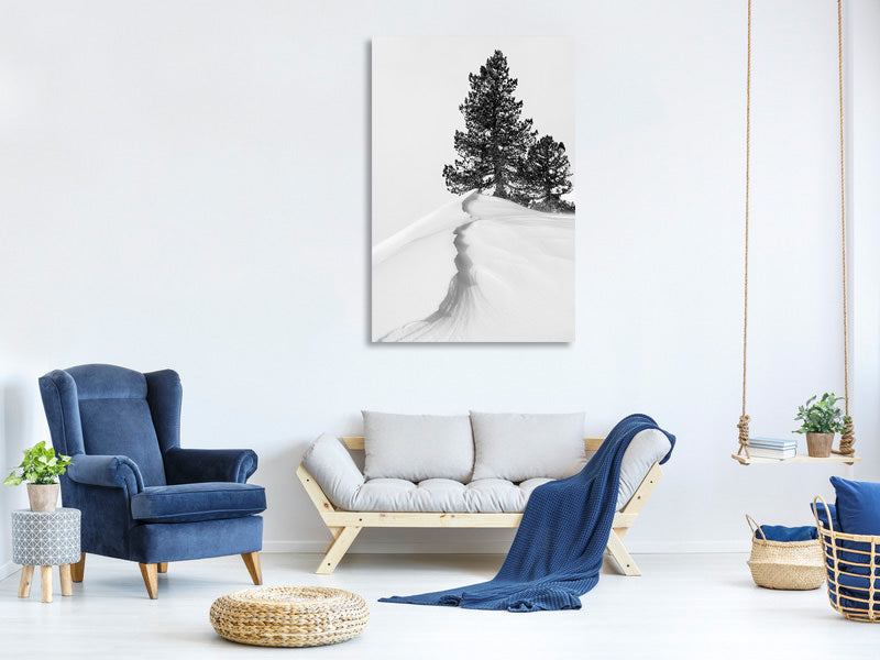 canvas-print-about-the-snow-and-forms