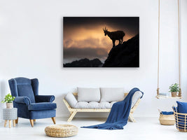 canvas-print-alpine-ibex-x