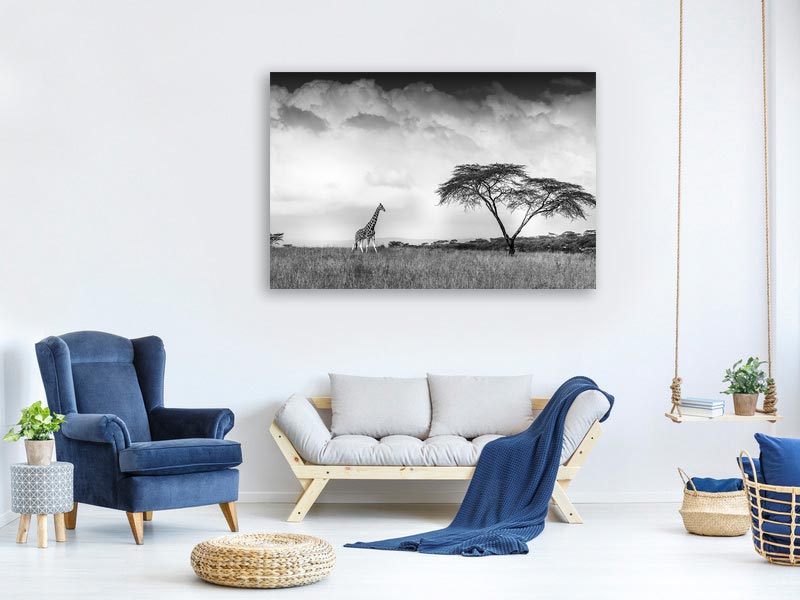 canvas-print-and-i-dreamed-of-africa-x