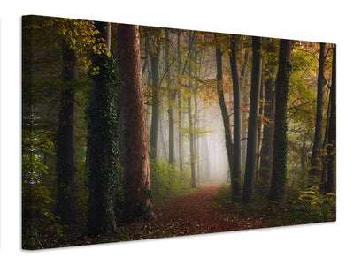 canvas-print-autumn-colorful-forest-x