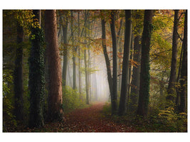 canvas-print-autumn-colorful-forest-x