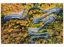 canvas-print-autumn-road-xaj