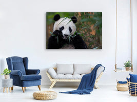 canvas-print-bamboo-time-x