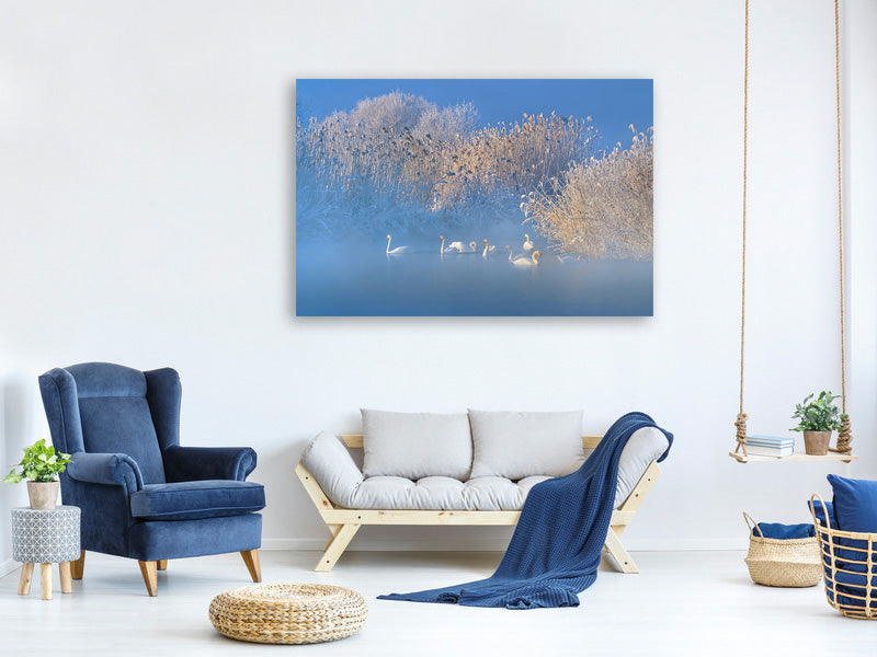 canvas-print-blue-swan-lake