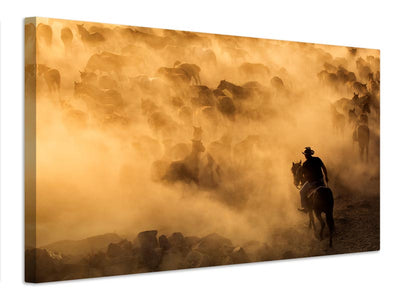 canvas-print-cappadocia-wild-horses-x