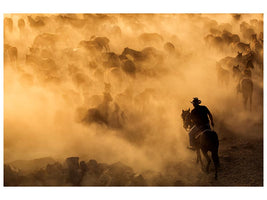 canvas-print-cappadocia-wild-horses-x