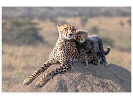 canvas-print-cheetah-and-cup-x