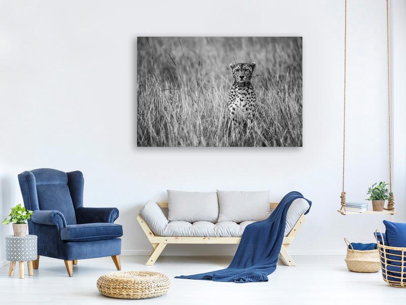 canvas-print-cheetah-xdm