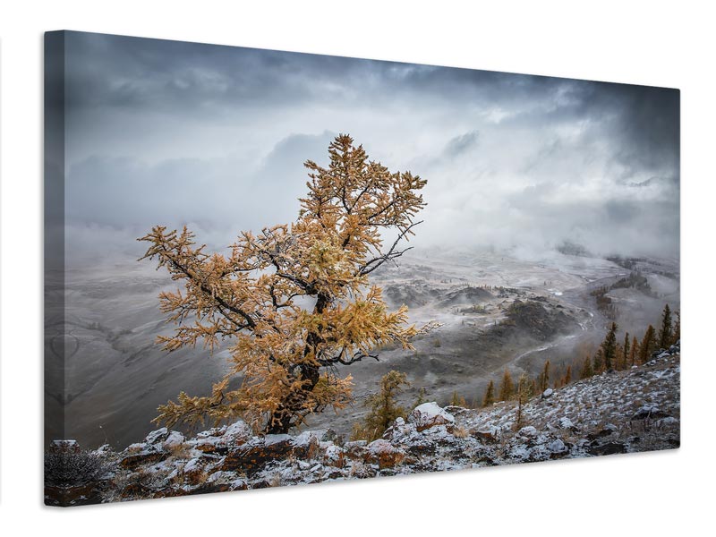 canvas-print-cold-autumn-morning-in-the-mountains-x