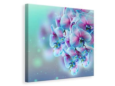 canvas-print-colored-orchids