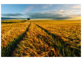canvas-print-countryside-x