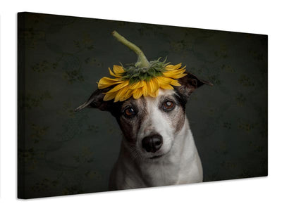 canvas-print-does-she-realize-she-looks-like-a-sunflower-x